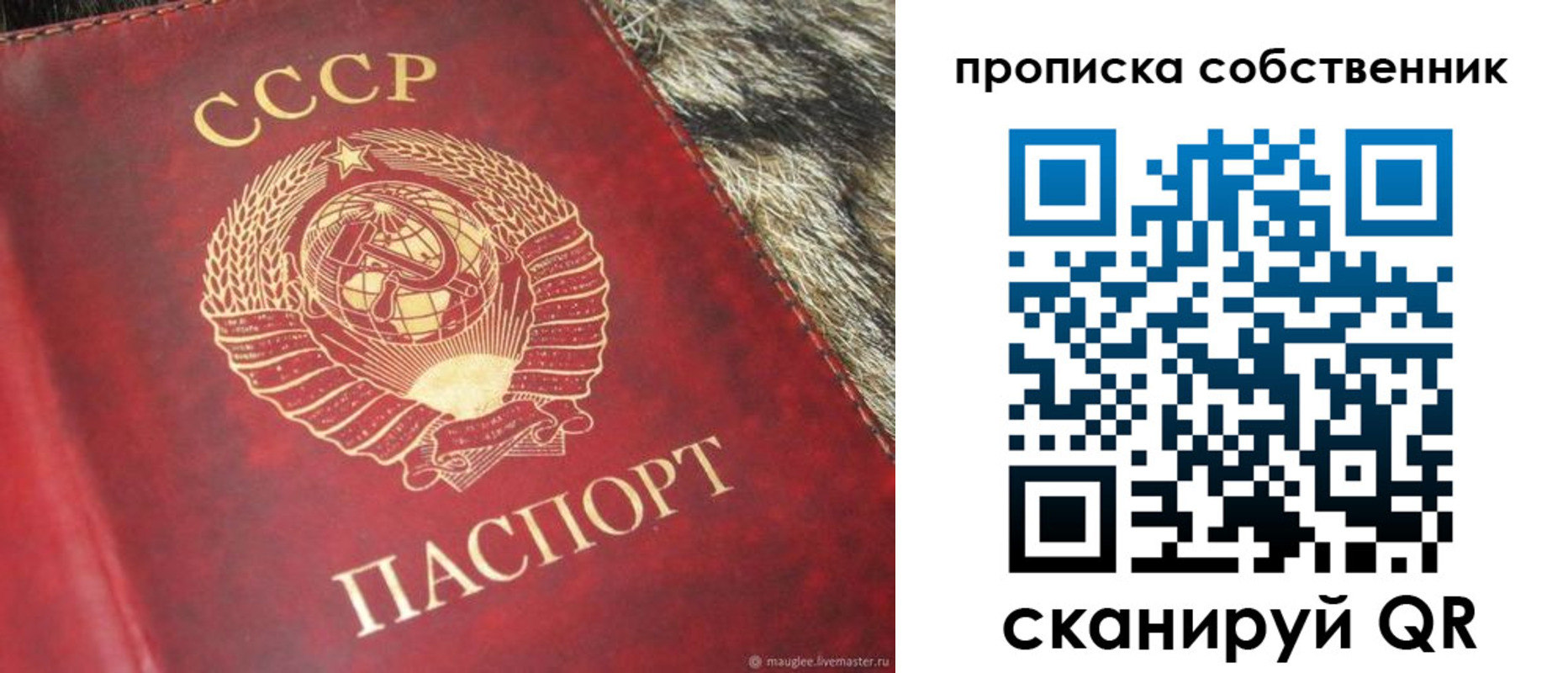 прописка в квартире в Ясногорске